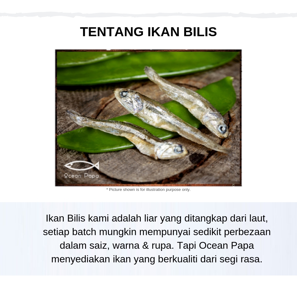 Proces Ikan Bilis Ocean Papa