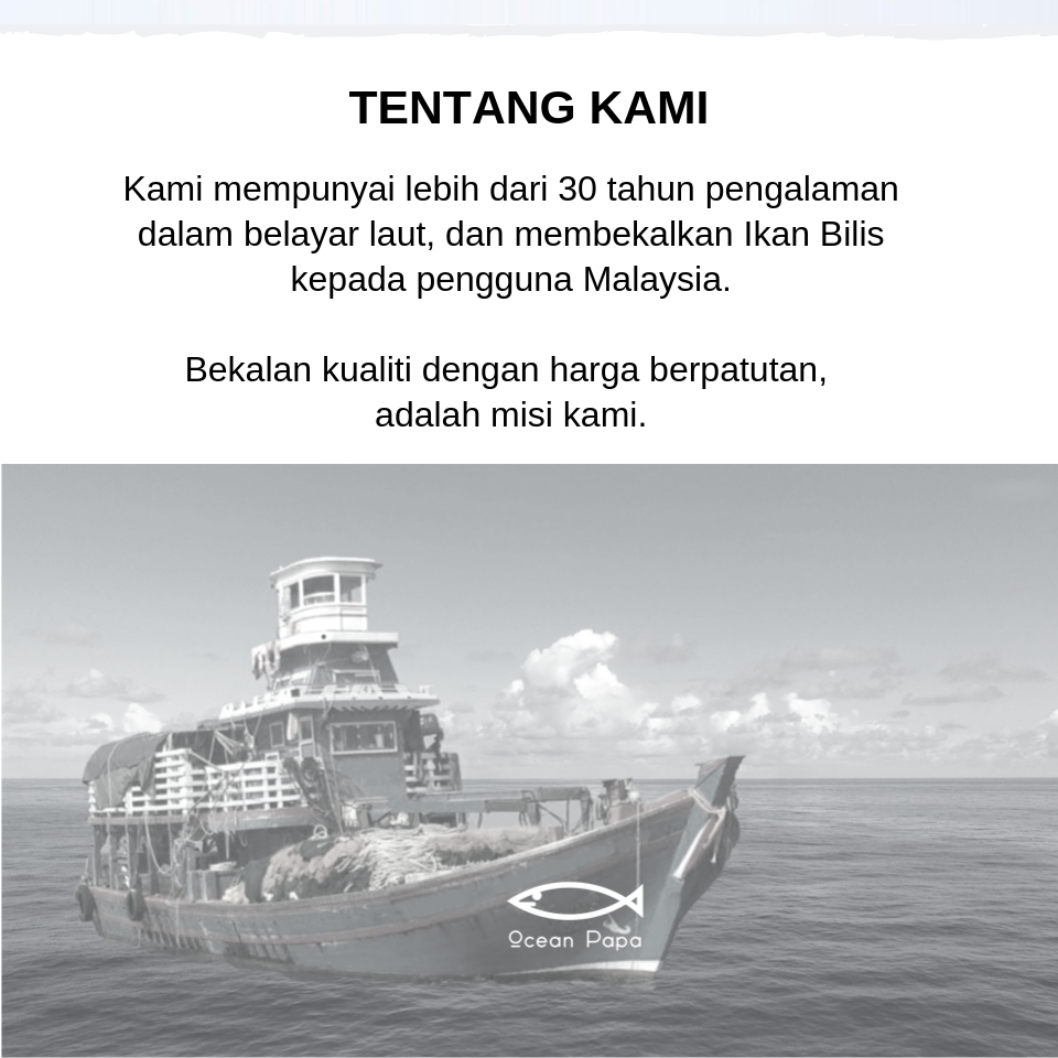 Proces Ikan Bilis Ocean Papa